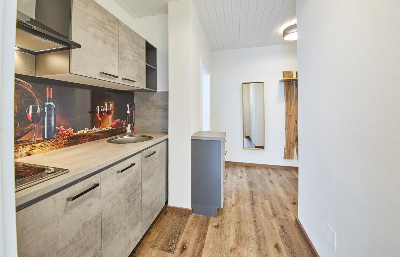 Appartements Haus Alexander Σάαλμπαχ-Χίντεργκλεμ Εξωτερικό φωτογραφία